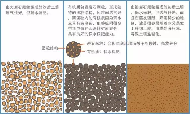 砂土壤土黏土,黏土土壤(第6页)_大山谷图库