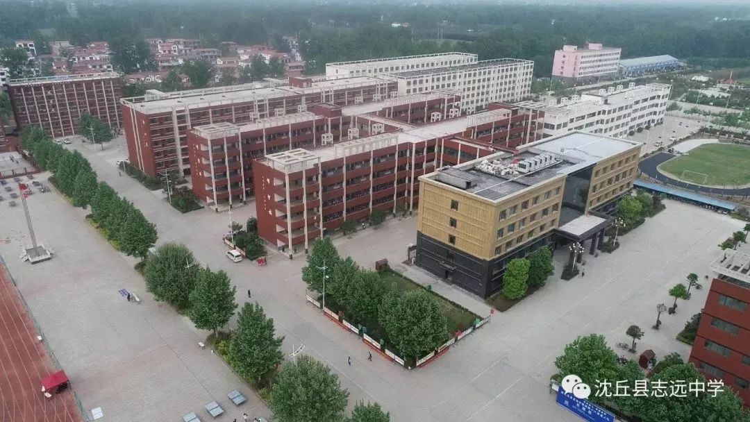 梧桐成排,就等您来——志远中学招聘教师啦_沈丘