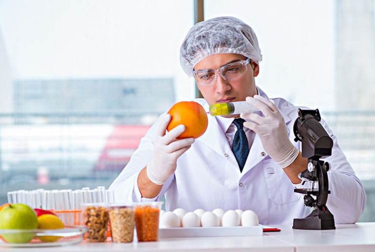 629721奇趣觅食节好吃好听好玩的荷尔蒙青年秀