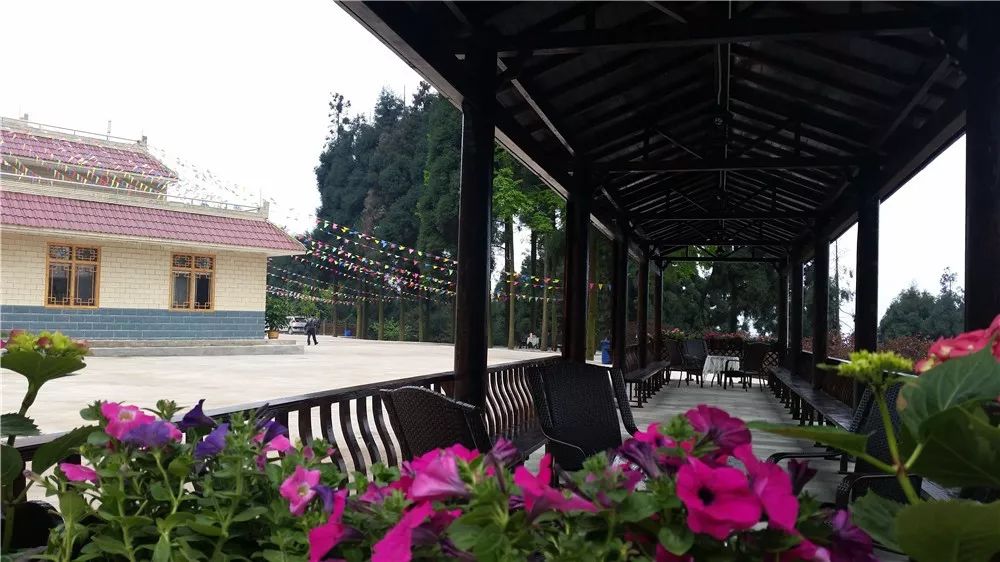 去过农家乐要不要去周公山看看林家乐