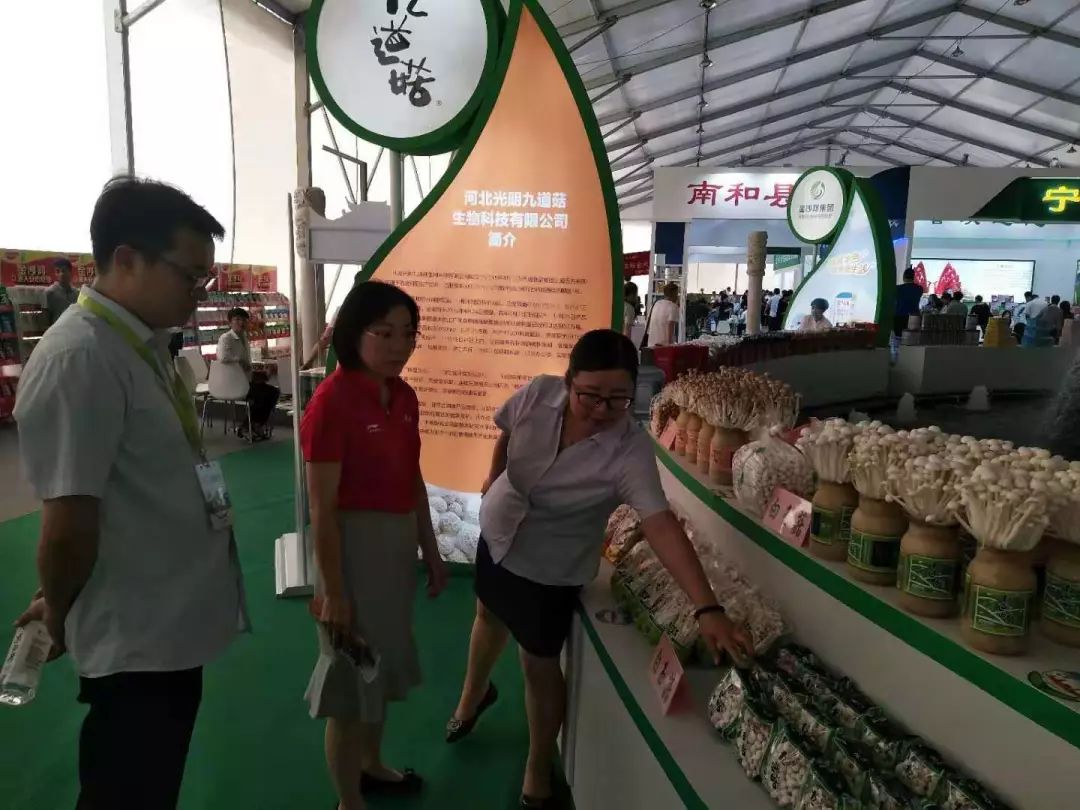九道菇产品亮相河北省农产品加工业发展大会