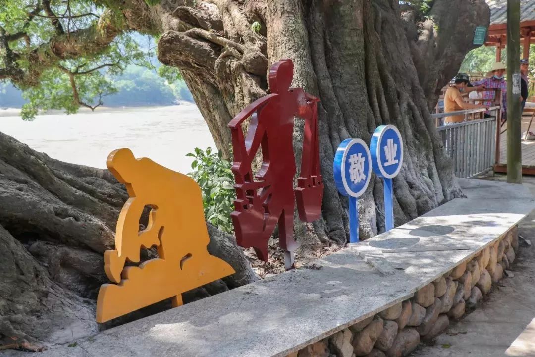 变样了!看看南屿镇双龙村美丽乡村建设后的村容街貌