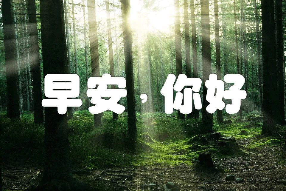 季夏早上好动态图加问候句子早上好问候语图片