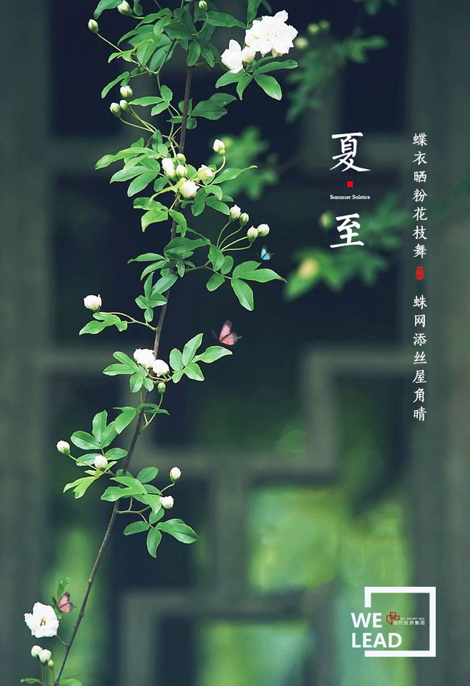 "一候鹿角解;二候蝉始鸣;三候半夏生.