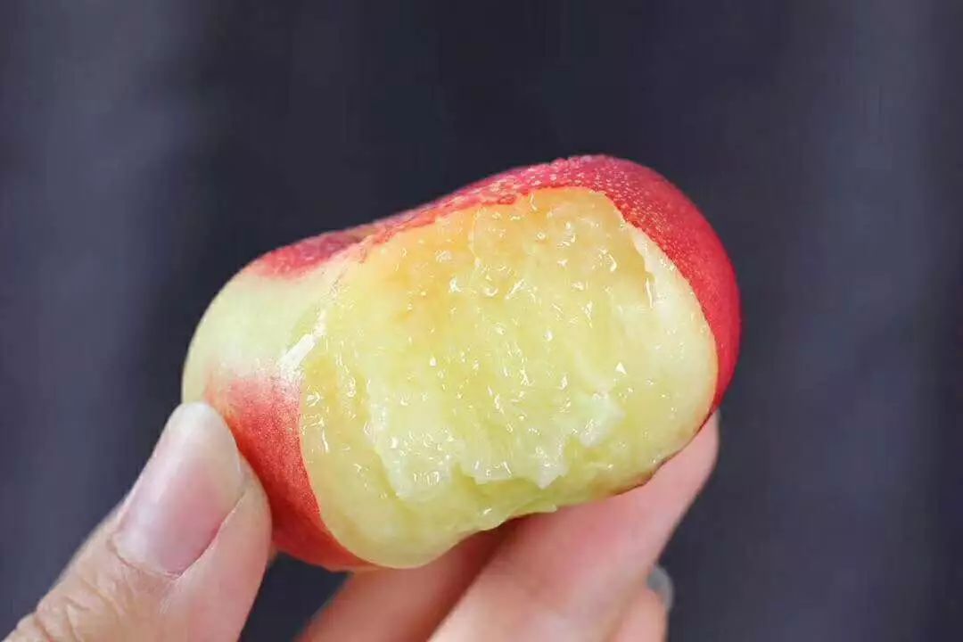 家门口买不到的迷你纽扣蟠桃,一咬脆甜,你不一定吃过!