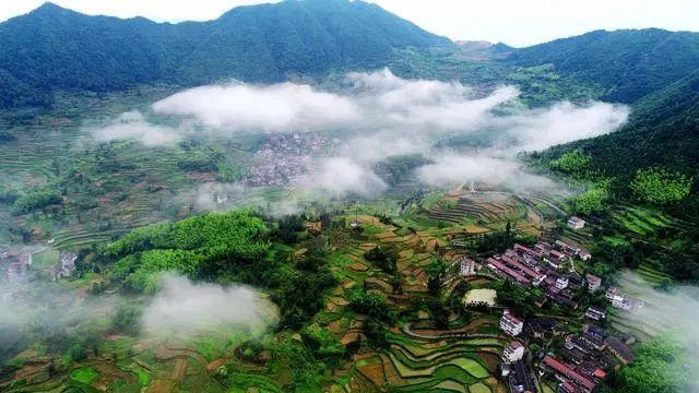 101巨美景台州布达拉宫仙居安岭夏日梯田美如画