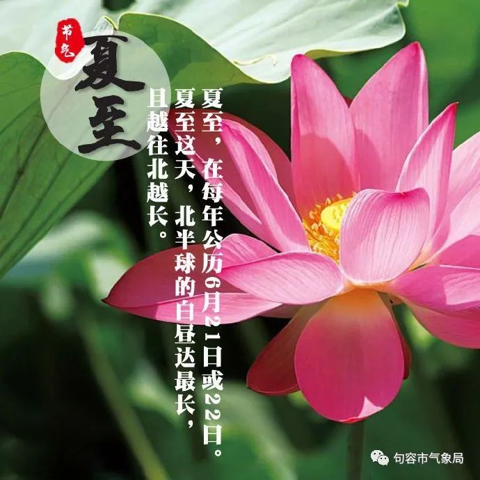 蝉始鸣,半夏生,今日夏至