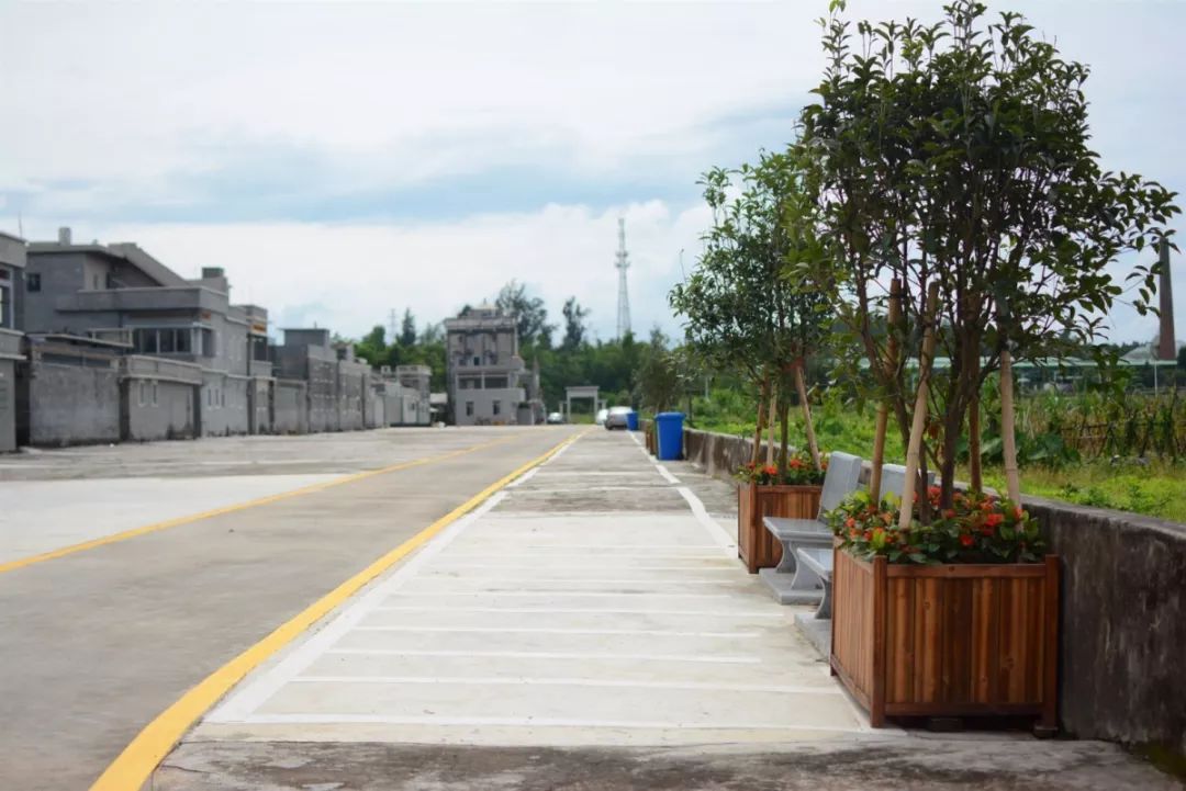 台山四九镇这条村大变样特色民宿悄然兴起