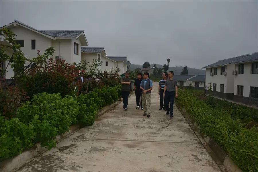 調研組一行先後到蒼溪縣東青鎮東光村返鄉大學生創業示範基地——軒彥