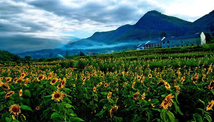 乡村旅游的六种发展类型