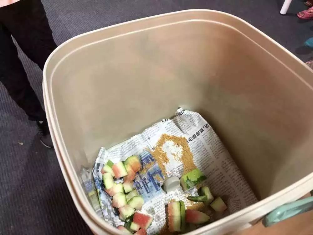 03放置发酵粉放好后密封0401讲解使用办法将厨余垃圾切碎02谢睿慈老师