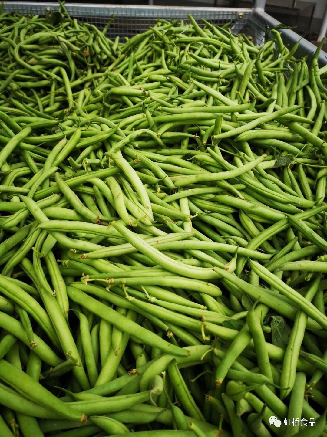宁夏虹桥食品公司2019年速冻青刀豆加工季开始