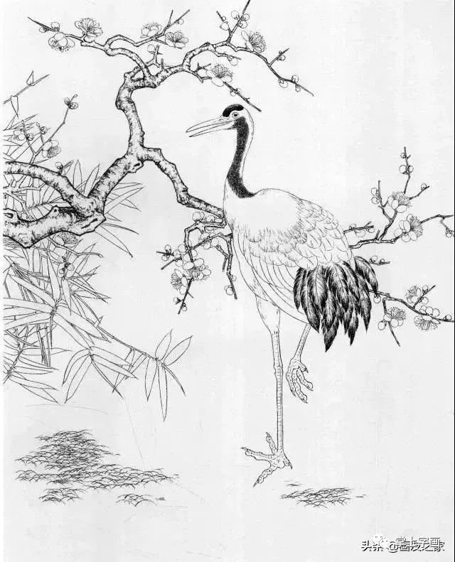 工笔仙鹤线描画谱简洁漂亮