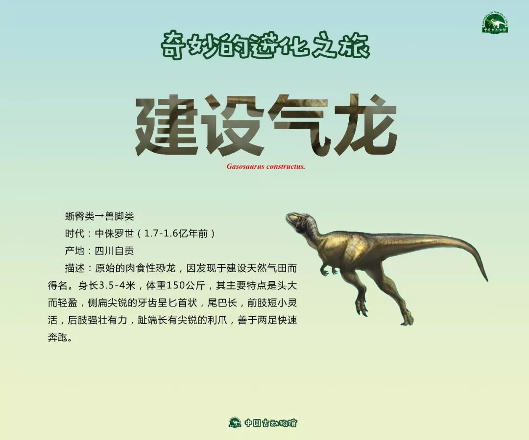 首进华东,巨型恐龙化石骨架现身杭城
