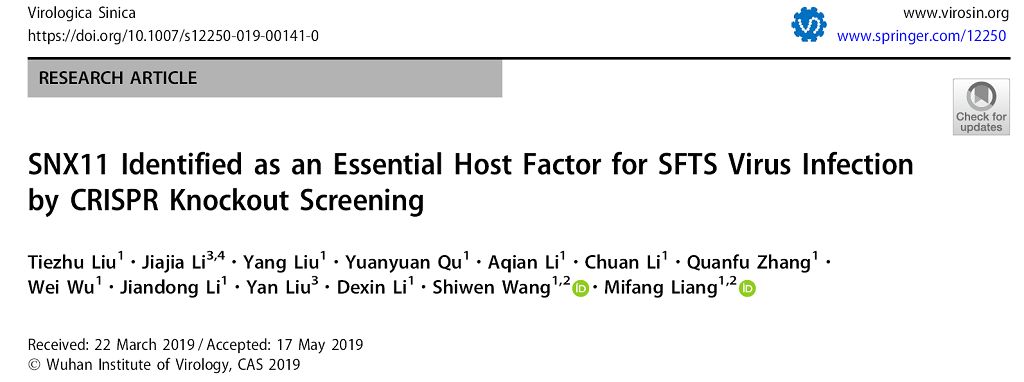 【前沿速递】中国疾控中心病毒病所梁米芳和王世文团队在发热伴血小板减少综合征病毒感染机制研究中发现重要宿主细胞因子SNX11-搜狐大视野-搜狐新闻