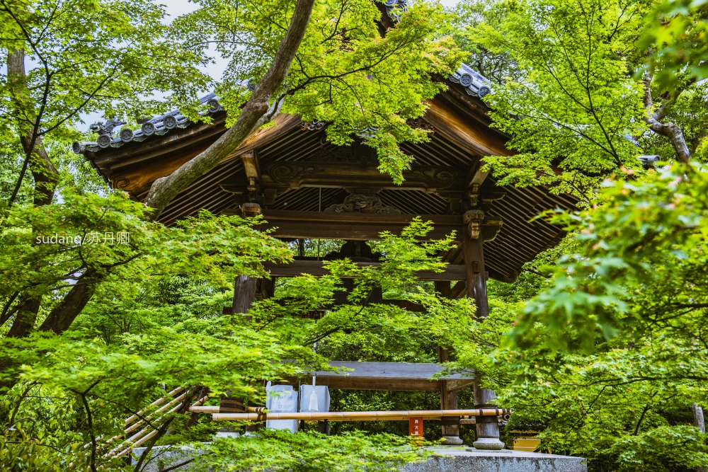 日本最美的世界文化遗产之一：金阁寺，聪明的一休在此擒虎