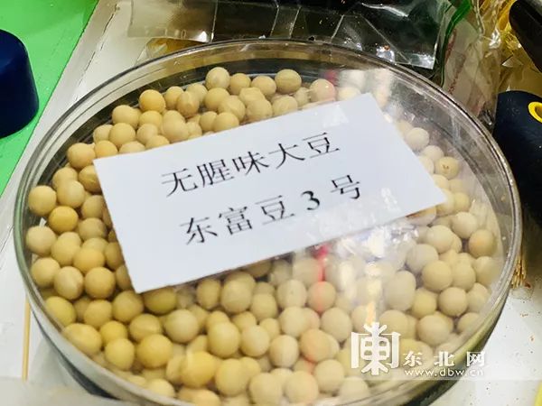 东北网记者 许诺 摄下一步,富民种子集团还将研发用无腥味大豆研发的