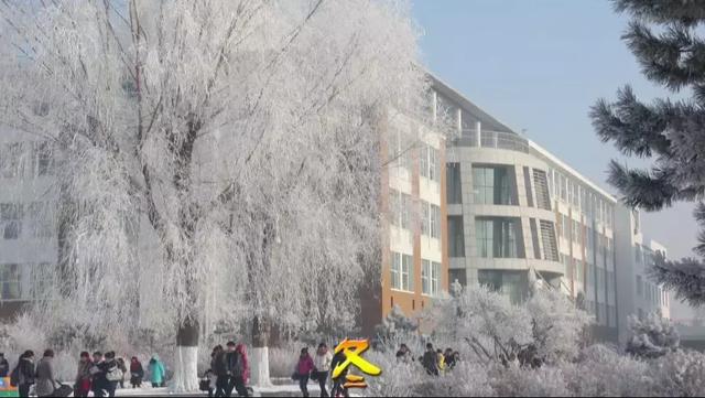 欢迎报考白城师范学院