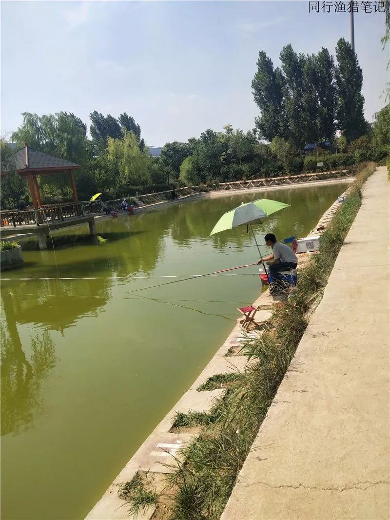 6.22 钓鱼笔记:初钓宁埠生态园_钓场