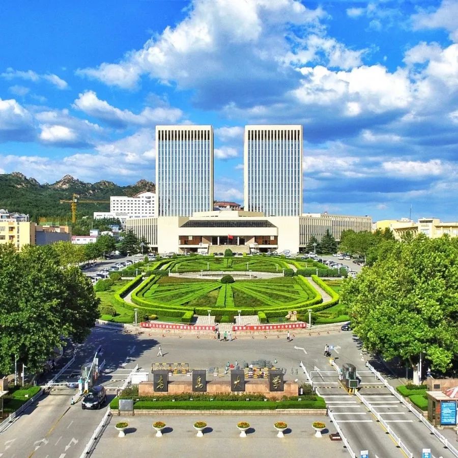 拼得出的青大,再拼不出四年青春_进行