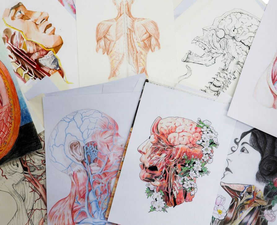 人体解剖图画画图片