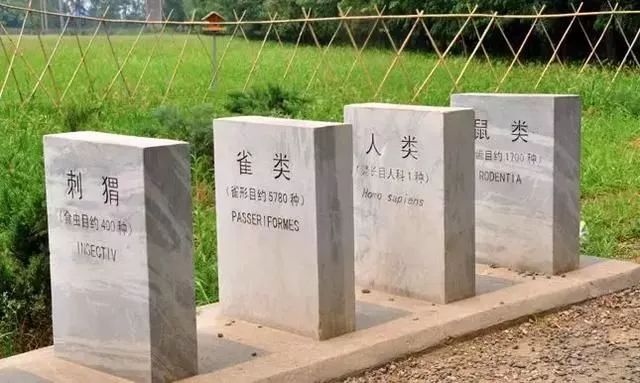 北京灭绝动物石碑名单图片