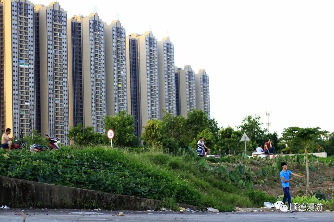 顺德德胜河两岸风景_沙圩