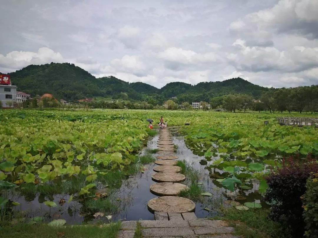 杨市镇旅游图片