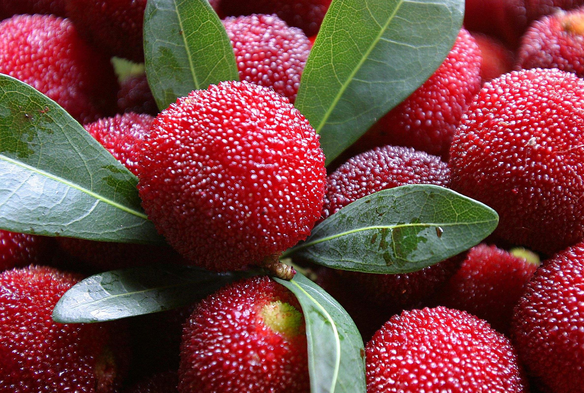 原创不热也出汗是阴虚和气虚补虚升阳建议食用黑豆南枣北芪汤