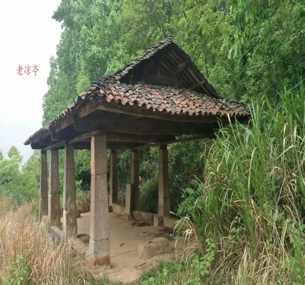 临武古村凉亭知多少