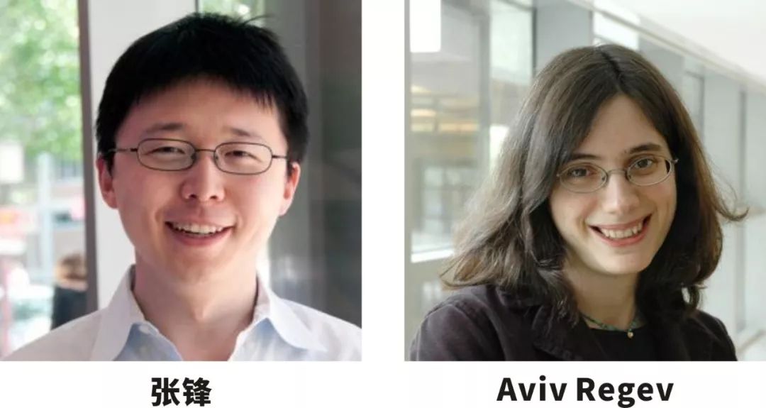 该研究的通讯作者:张锋,aviv regev出生于1982年的张锋,是麻省理工