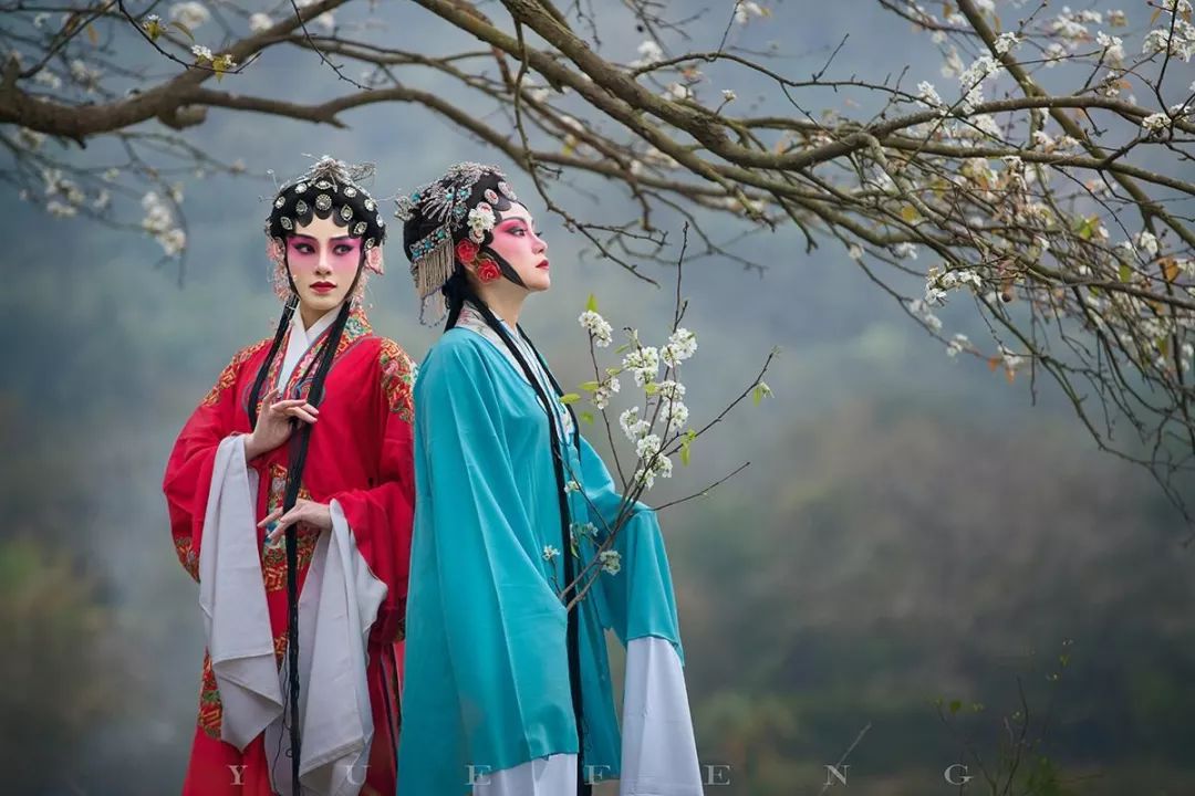 西风起,梨花落〇一叶舟一树梨花雨,韶华缱绻忆.