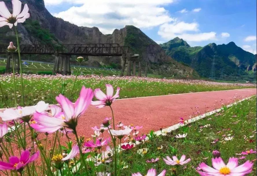 美丽灵溪的六大公园!