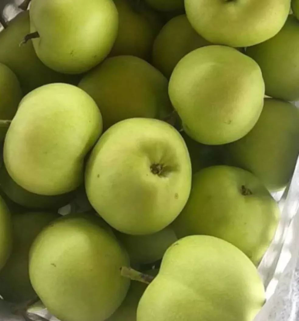 现在绿皮绿宝石的价格较前几天有所攀升,普遍收购价格已经到了3.