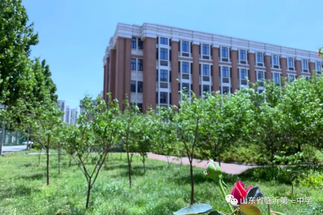 走去临沂一中北校偶遇吧