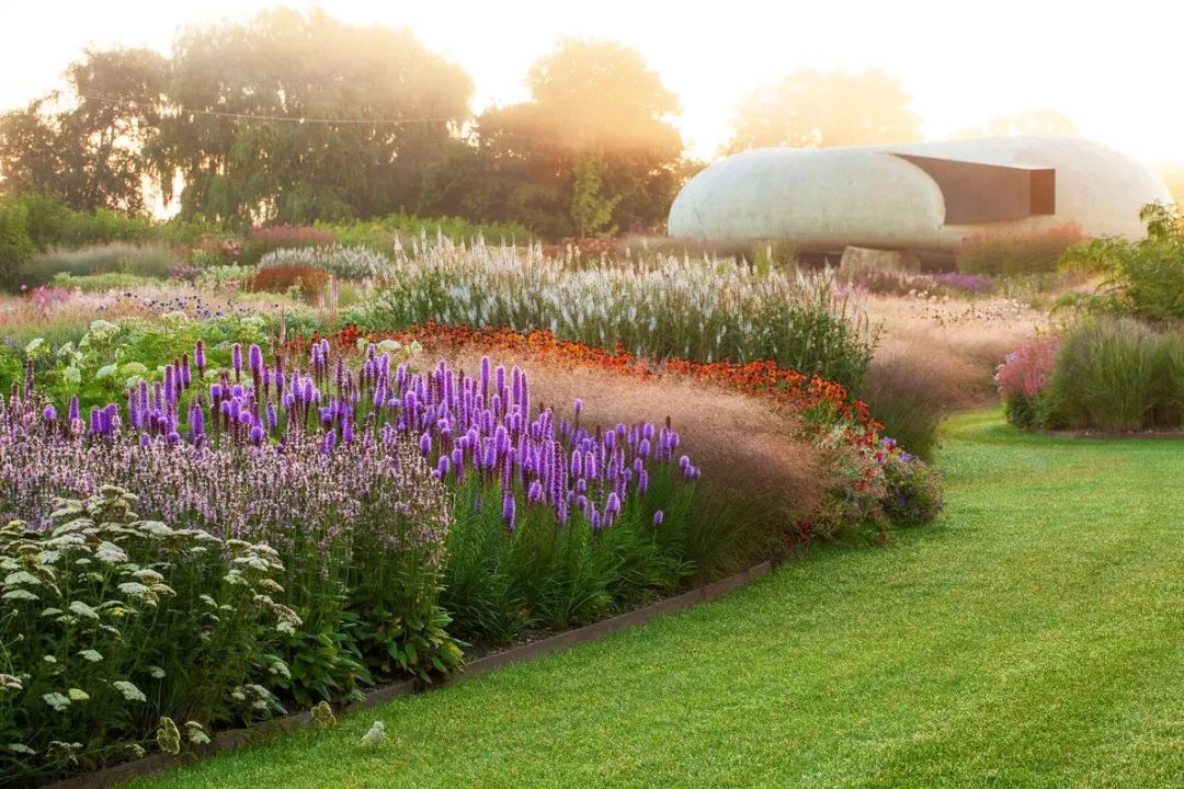 盛开得惊艳凋零得动容走进荒草园林大师pietoudolf