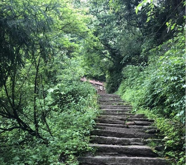 暑假四川旅遊雪寶頂威遠騎龍坳大邑千佛山臥龍甘海子