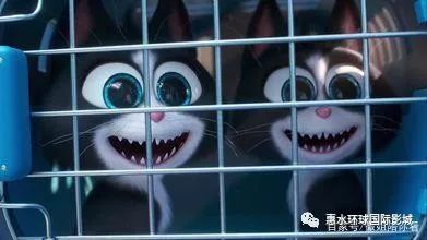 看这一对闪灵猫咪可能对于每个宠物来说,兽医店都像是地狱,但是相对于