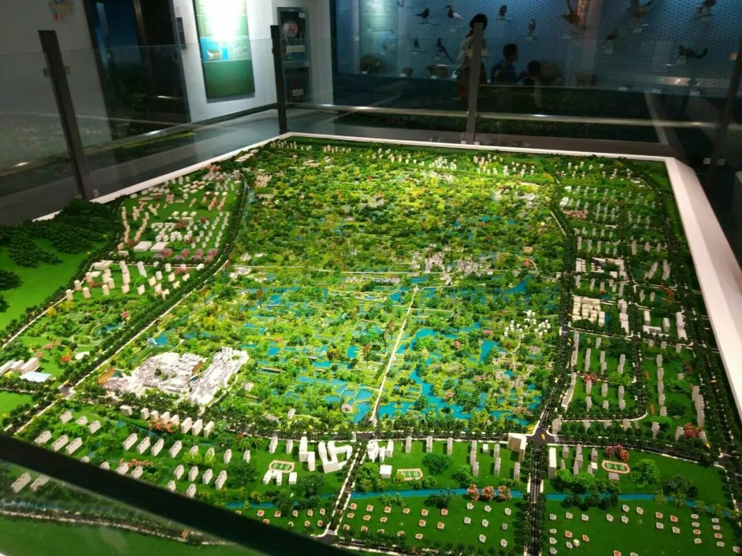 湿地博物馆平面图图片