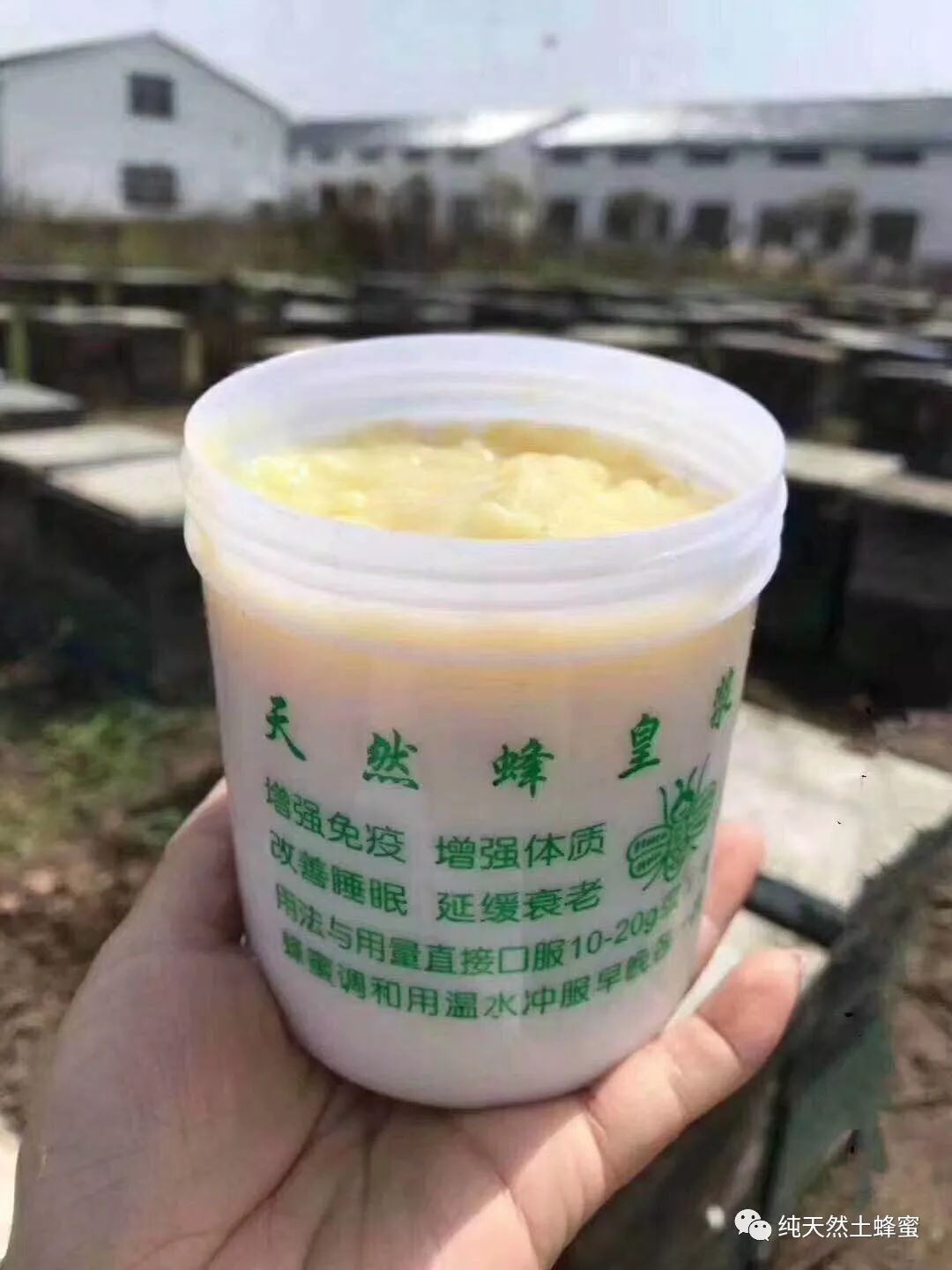 蜂王浆鲜为人知的功效1勺王浆治10病