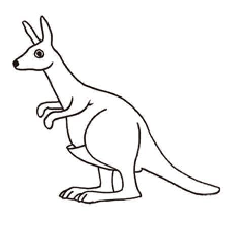 visualization theme: kangaroodevelopmental theme:repetition