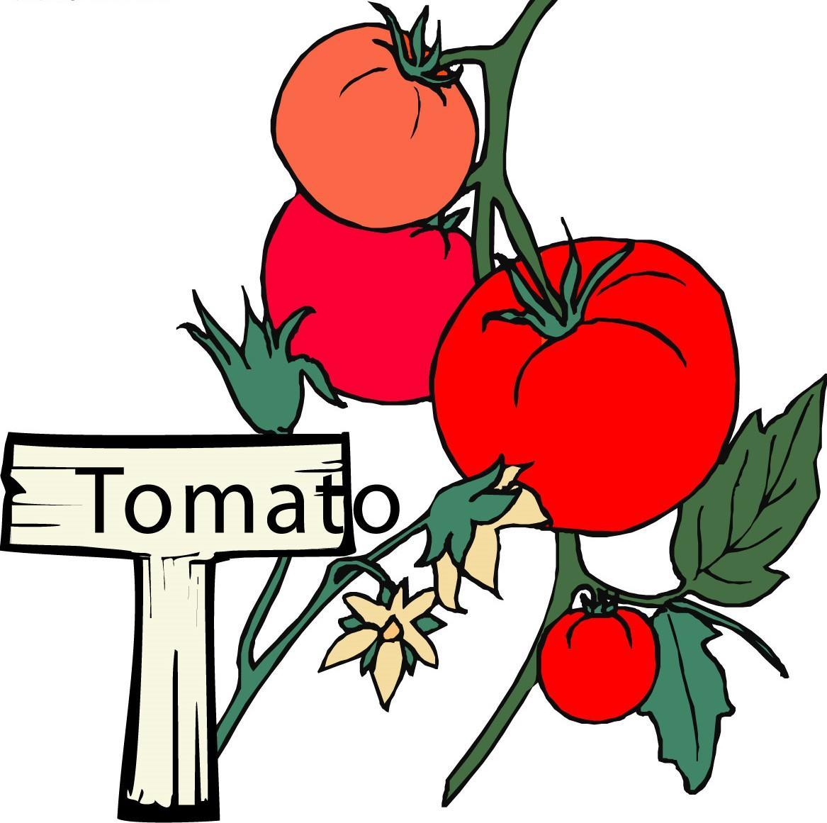 狗狗们能不能吃西红柿呢?