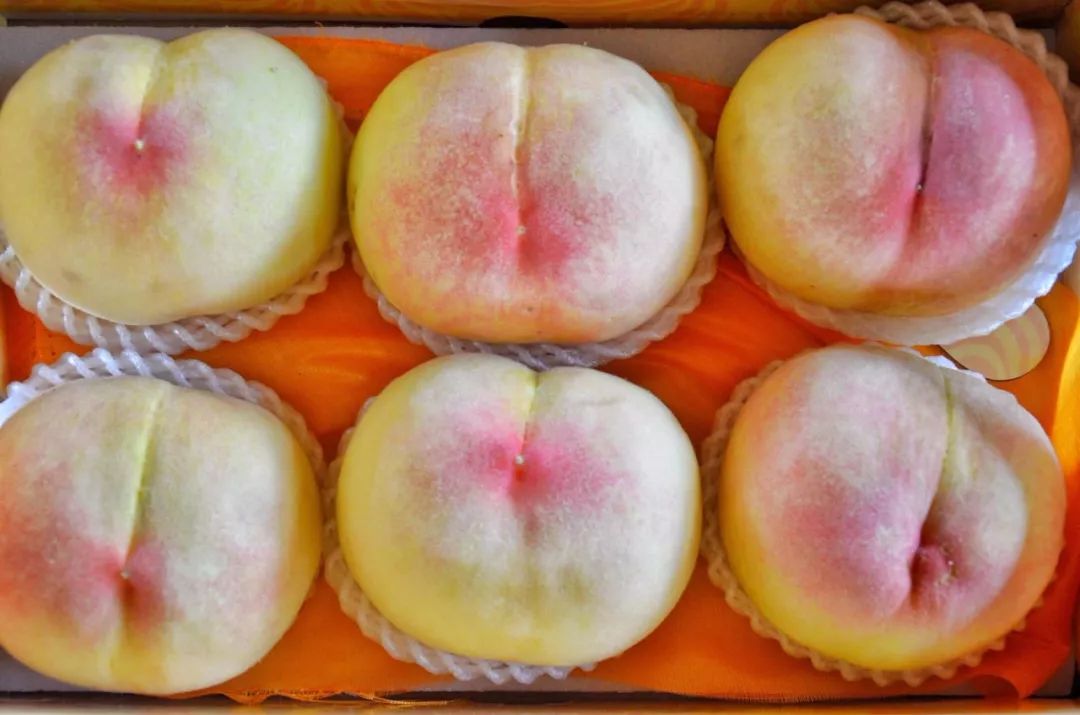 苏州水蜜桃真甜