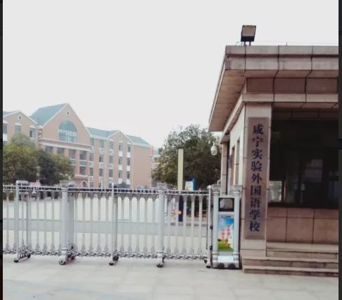 咸宁外国语学校咸宁市二号桥小学小学实验室咸宁市郭林路小学标本陈放