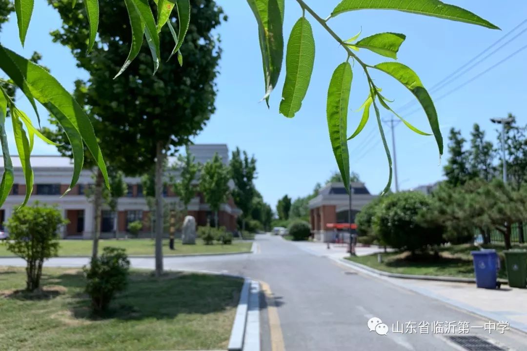 走去临沂一中北校偶遇吧
