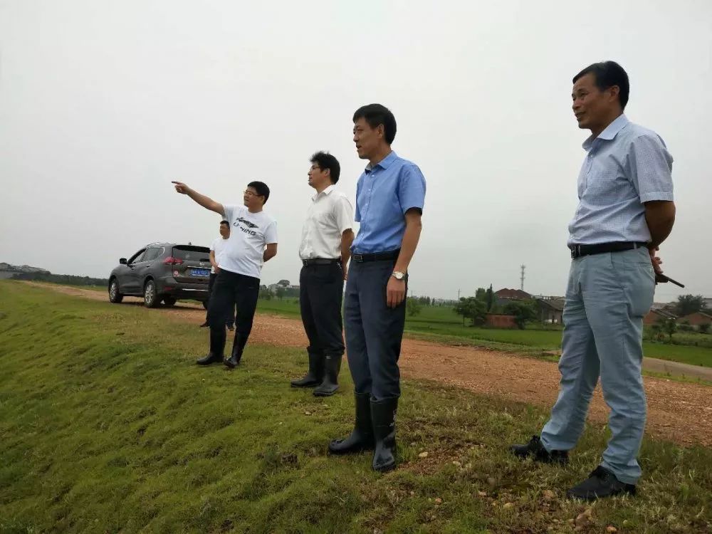 今天他们纷纷走进姚圩督导这项工作