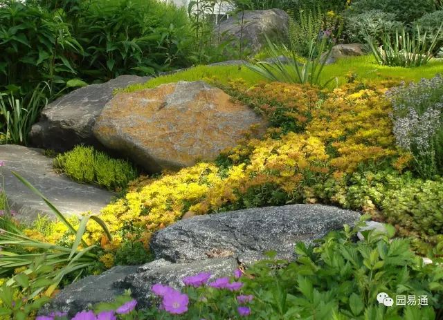 设计老外的岩石园花境设计案例