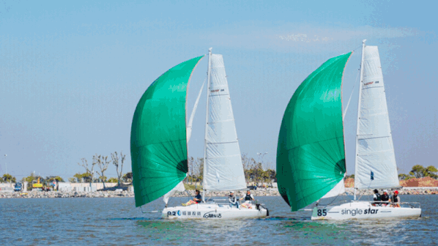 整片海洋等你们去征服呦!_帆船