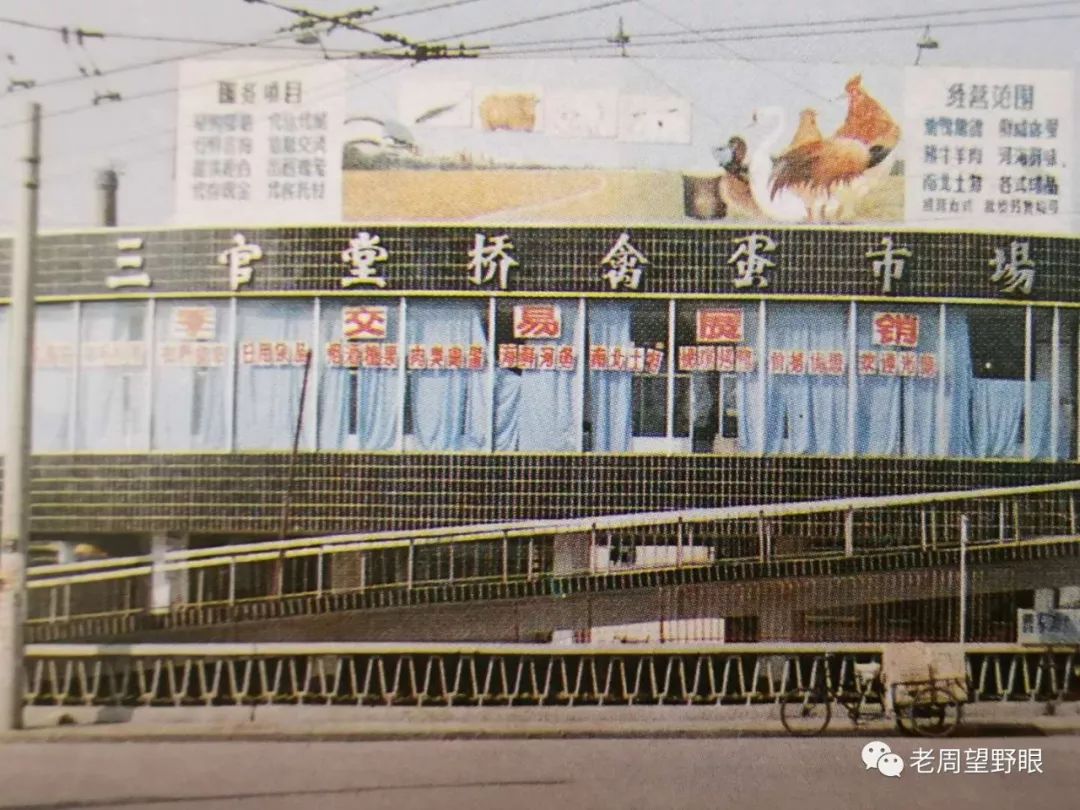 少年宫58,普陀区科技馆,图书馆联体大楼59,华东师范大学60,曹杨中学61