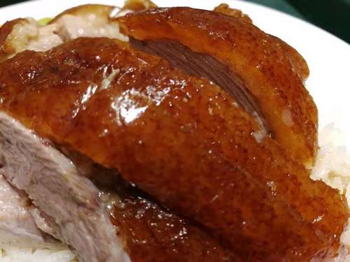 广式烧鸭肚子泛白怎么避免不知道的都往这看